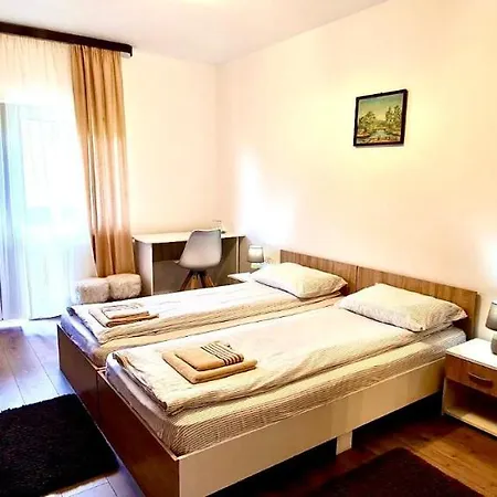 Pensiunea Ioana 3*