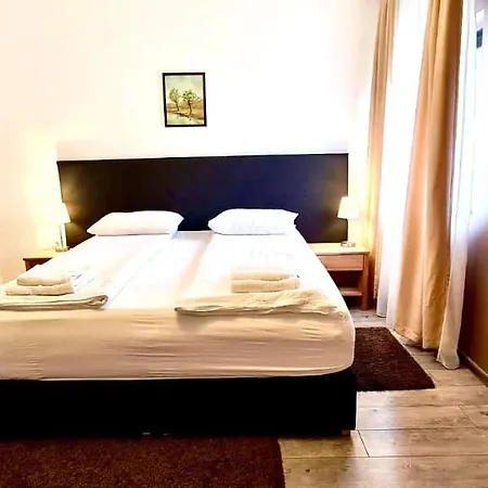 Pensiunea Ioana 3*